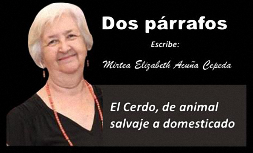 Dos Párrafos